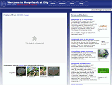 Tablet Screenshot of morphbank.net